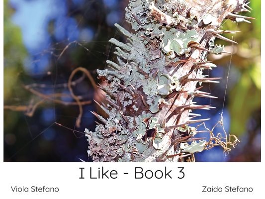 I Like - Book 3