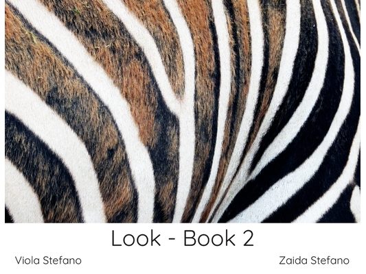Look - Book 2