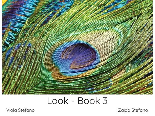 Look - Book 3
