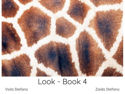 Look - Book 4