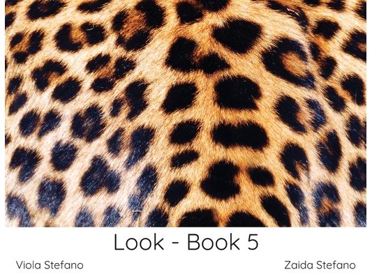 Look - Book 5