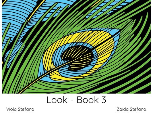Look - Book 3: VI