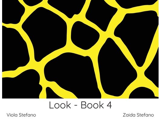 Look - Book 4: VI