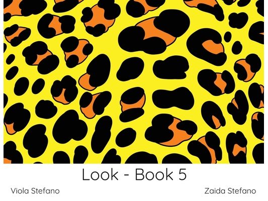 Look - Book 5: VI