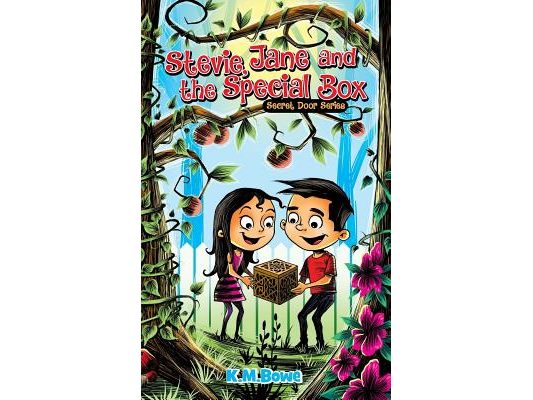 Stevie, Jane and the Special Box: An Early Reader Adventure Book