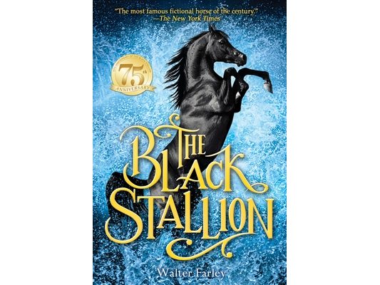The Black Stallion