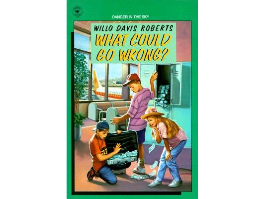What Could Go Wrong?