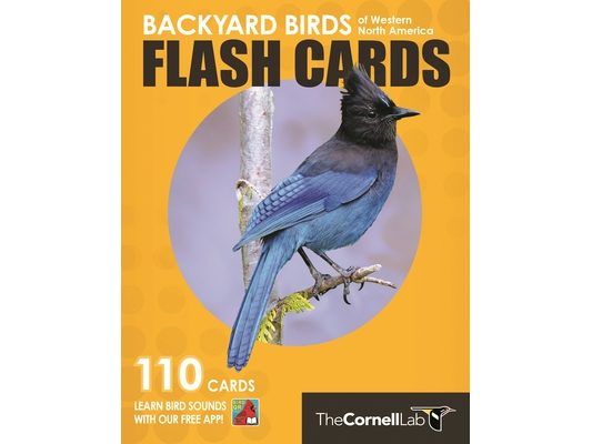 Backyard Birds Flash Cards - Western North America