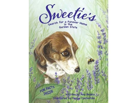Sweetie's Search for a Forever Home in the Garden State