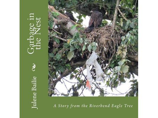 Garbage in the Nest: A Story from the Riverbend Eagle Tree