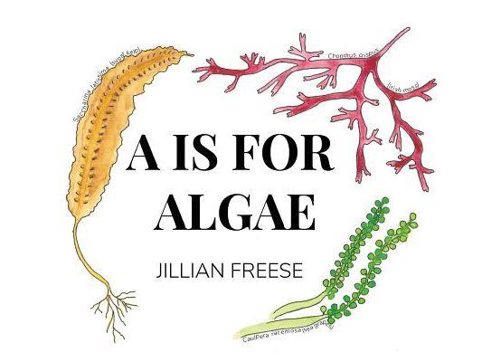 A is for Algae