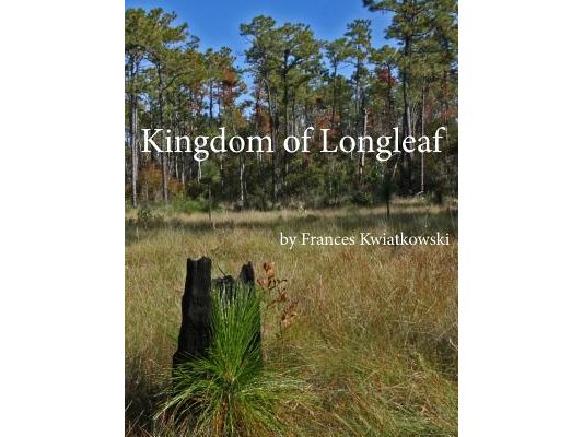 Kingdom of Longleaf
