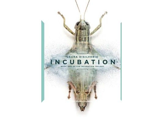 Incubation