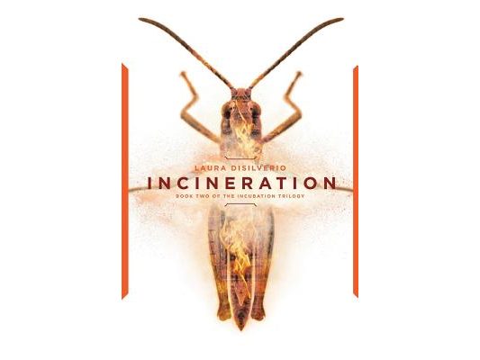 Incineration