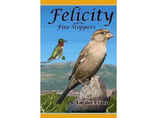 Felicity and the Fire Stoppers