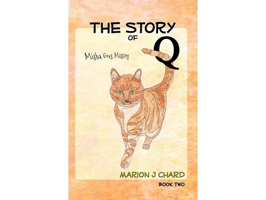 The Story of Q - Misha Goes Missing