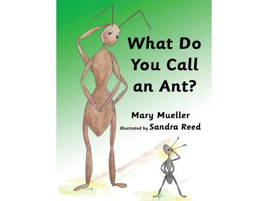 What Do You Call An Ant