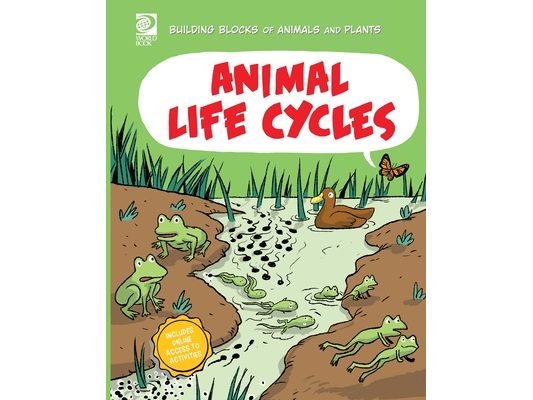 Animal Life Cycles