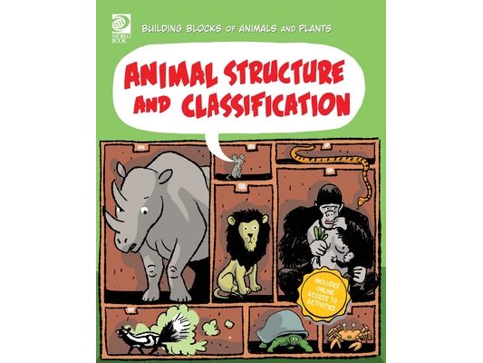 Animal Structure and Classification