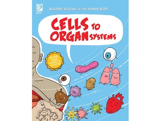 Cells to Organ Systems