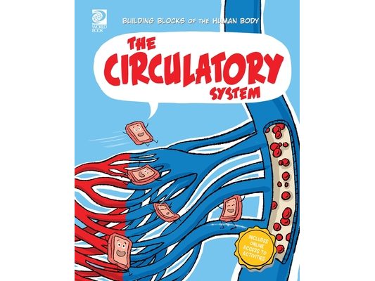 The Circulatory System