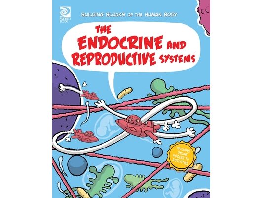 The Endocrine and Reproductive Systems