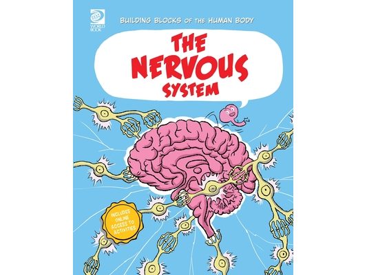 The Nervous System