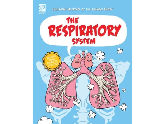 The Respiratory System
