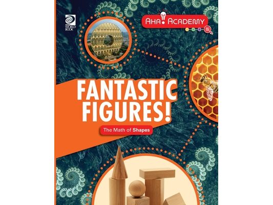 Fantastic Figures! The Math of Shapes