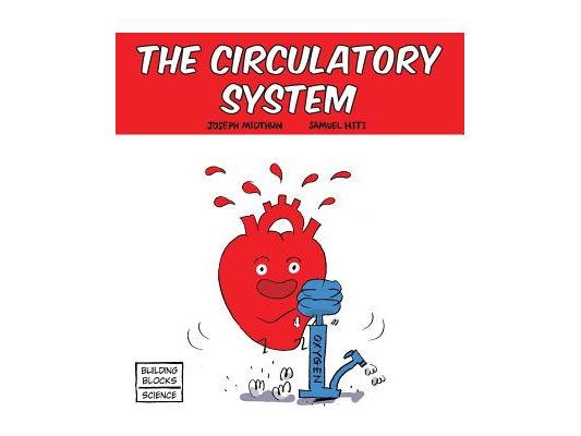 The Circulatory System
