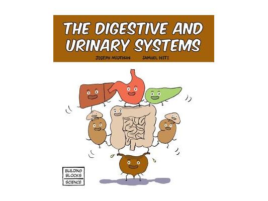 The Digestive and Urinary Systems