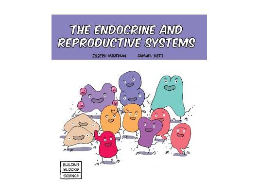 The Endocrine and Reproductive Systems