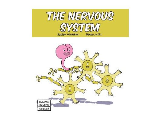The Nervous System