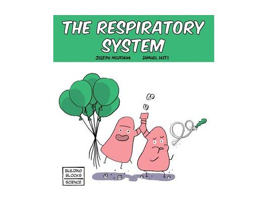 The Respiratory System
