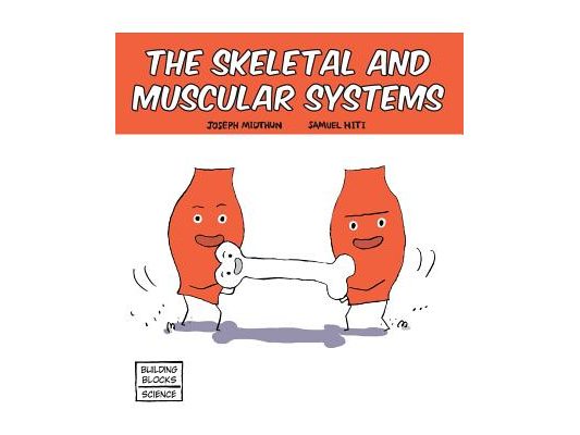 Skeletal and Muscular Systems
