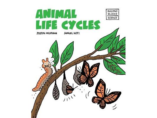 Animal Life Cycles