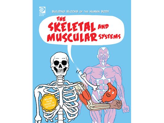 The Skeletal and Muscular Systems