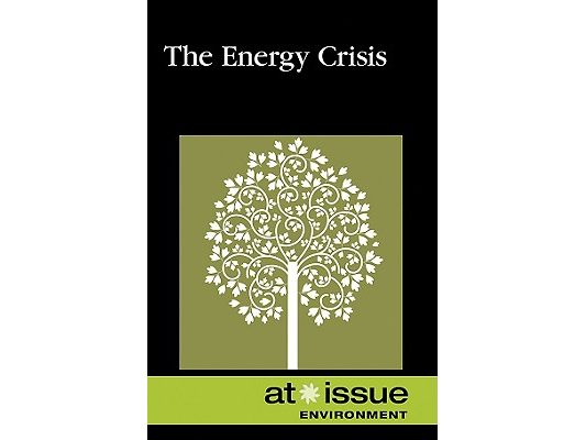 AI: The Energy Crisis -P