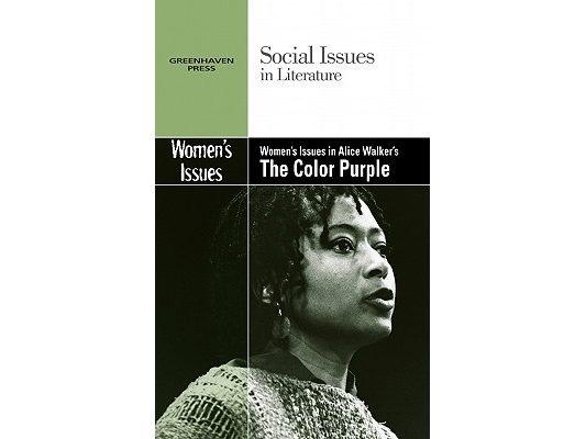 Women's Issues in Alice Walker's the Color Purple
