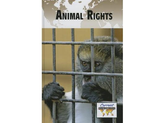 Animal Rights