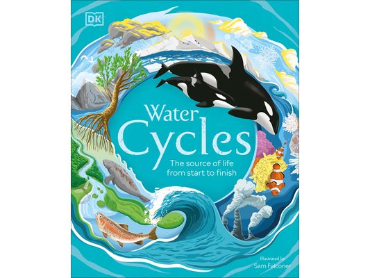 Water Cycles