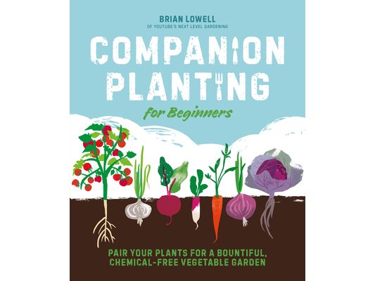Companion Planting for Beginners: Pair Your Plants for a Bountiful, Chemical-Free Vegetable Garden