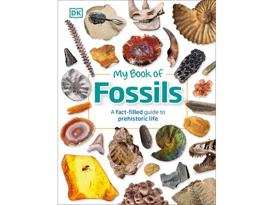 My Book of Fossils: A Fact-Filled Guide to Prehistoric Life