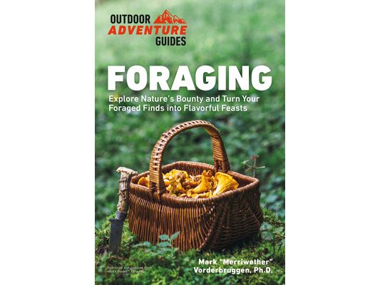 Foraging: Explore Nature's Bounty and Turn Your Foraged Finds Into Flavorful Feasts