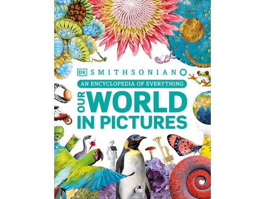 Our World in Pictures: A Visual Encyclopedia of Everything for Kids