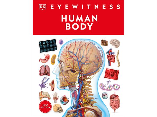 Eyewitness Human Body