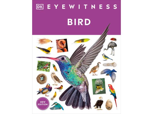 Eyewitness Bird