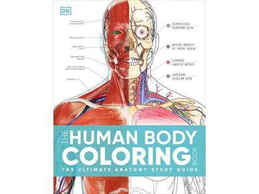 The Human Body Coloring Book: The Ultimate Anatomy Study Guide, Second Edition