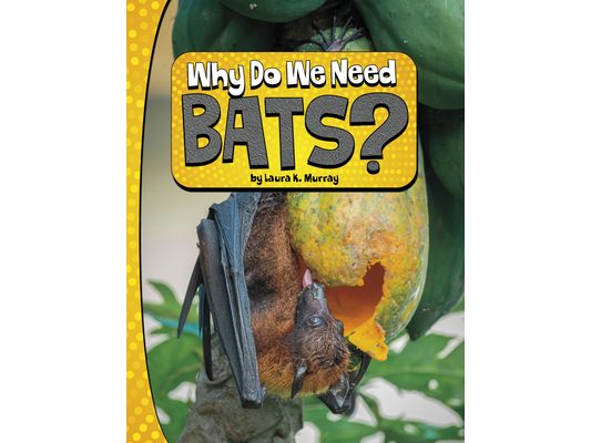 Why Do We Need Bats?