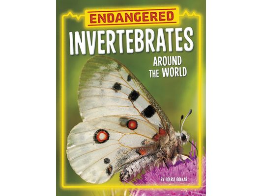 Endangered Invertebrates Around the World